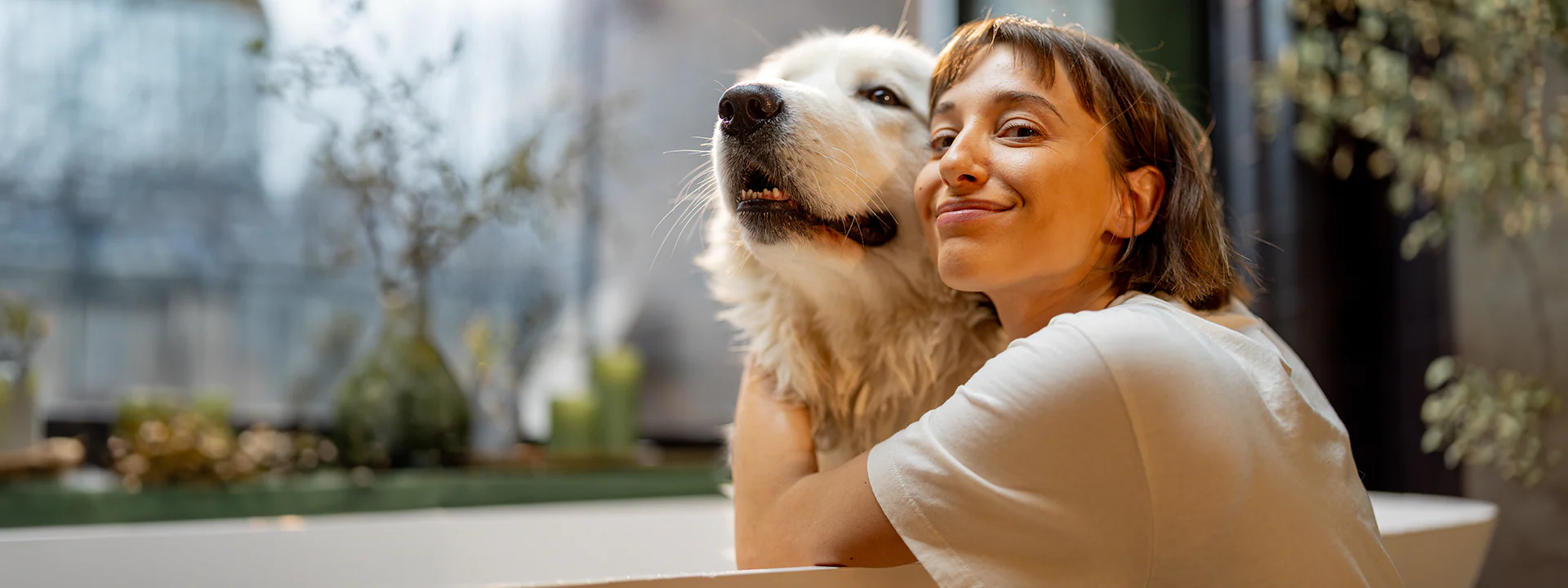 Simplify Your Pet Care Routine