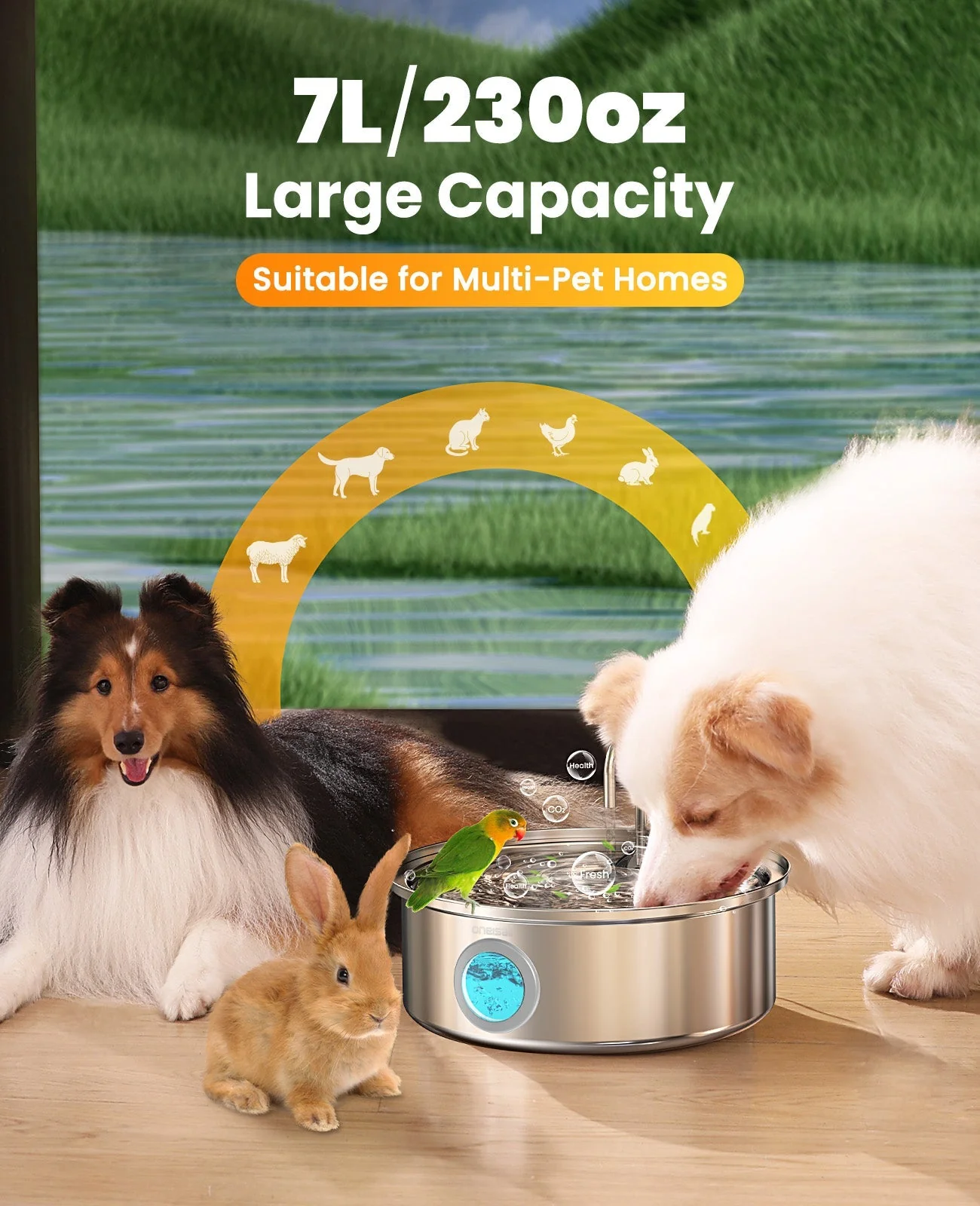 Oneisall 5L Automatic Cat Feeder with APP Control for Two Cats - Image 12