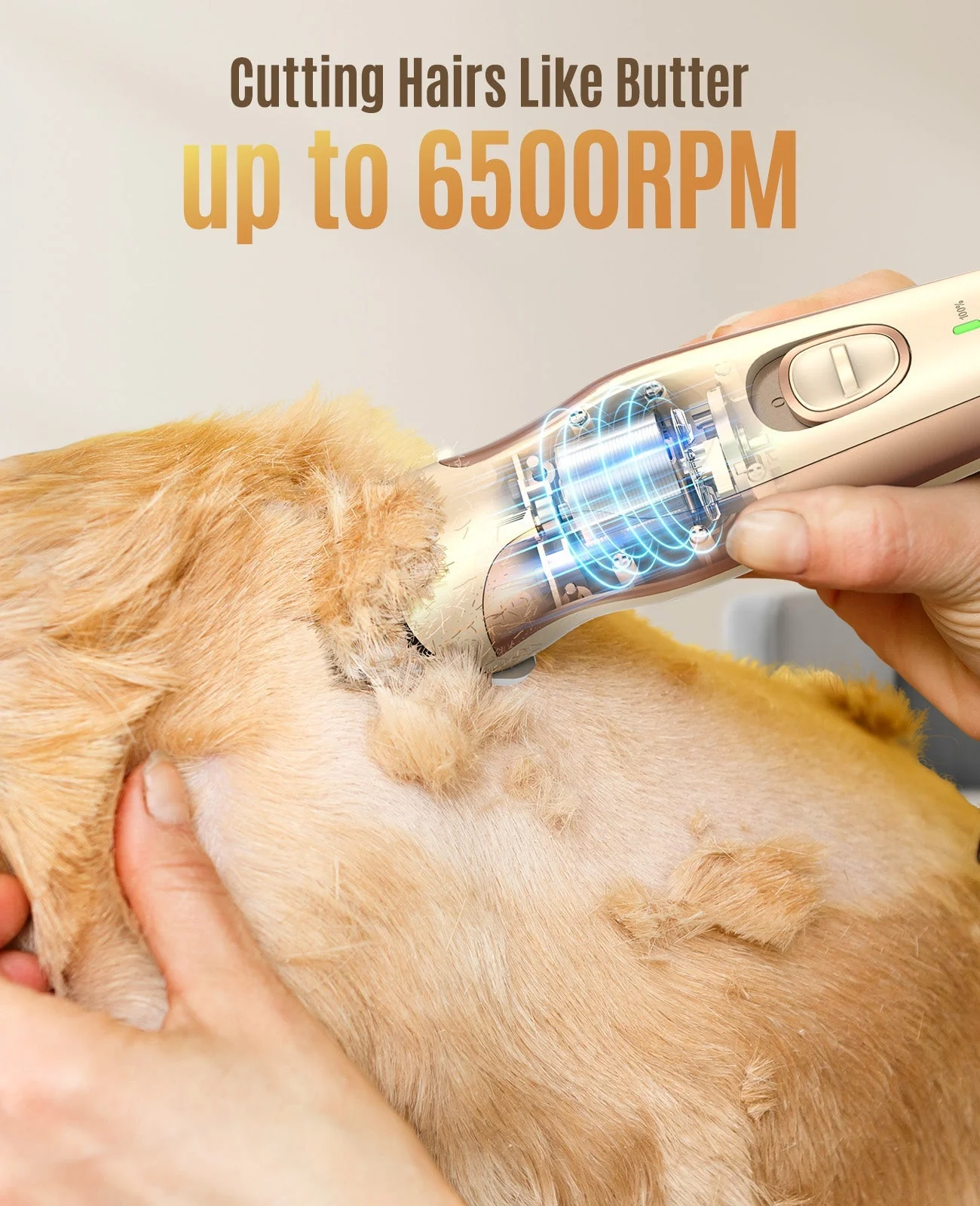 Oneisall DTJ-002 2 in 1 Dog Clippers with Narrow Blade - Image 4