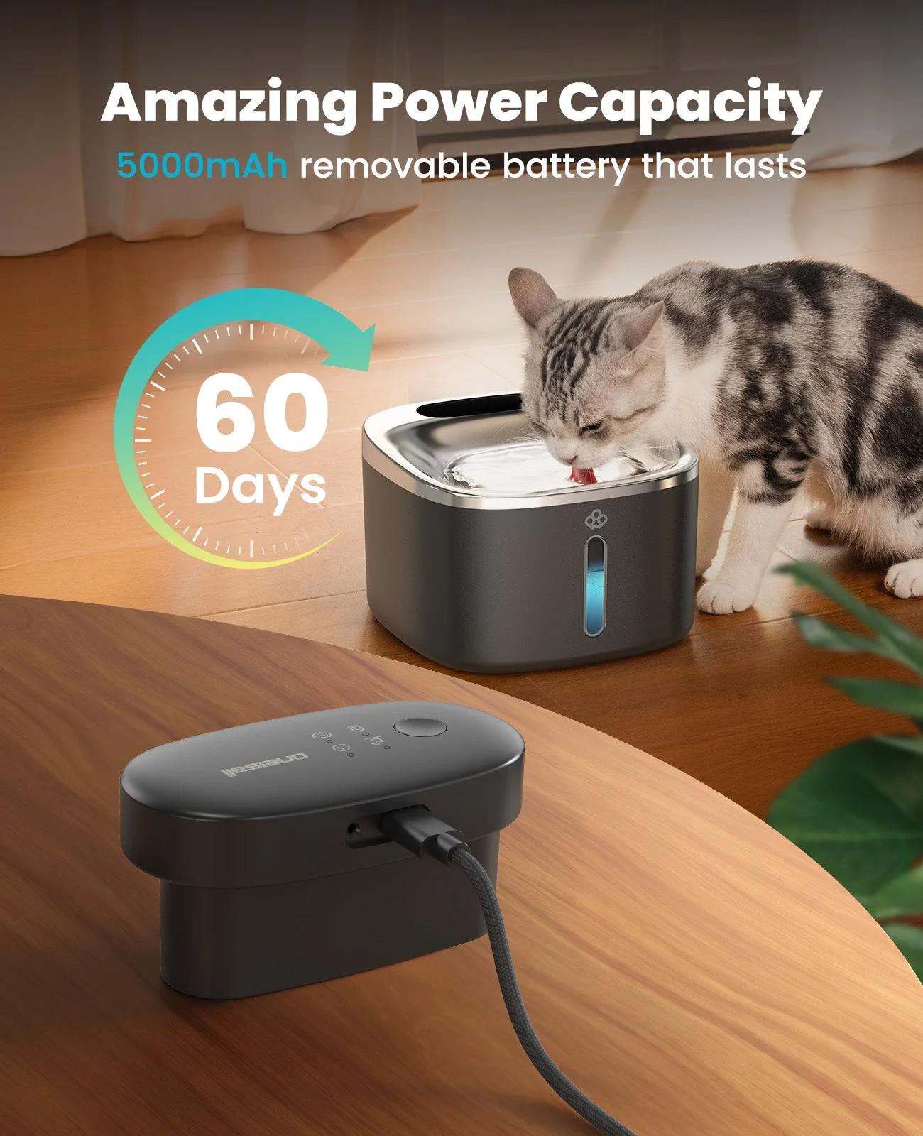 Oneisall 5L Automatic Cat Feeder Basic & 3.5L Cordless Water Fountain Set - Image 13