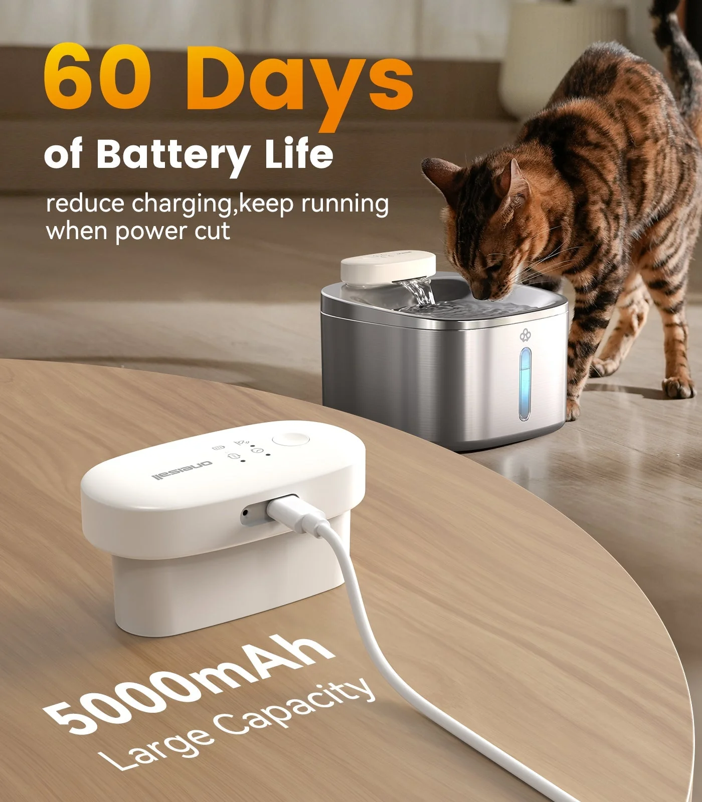Oneisall 3.5L Automatic Cat Feeder with APP Control & 2.4G Wi-Fi - Image 16