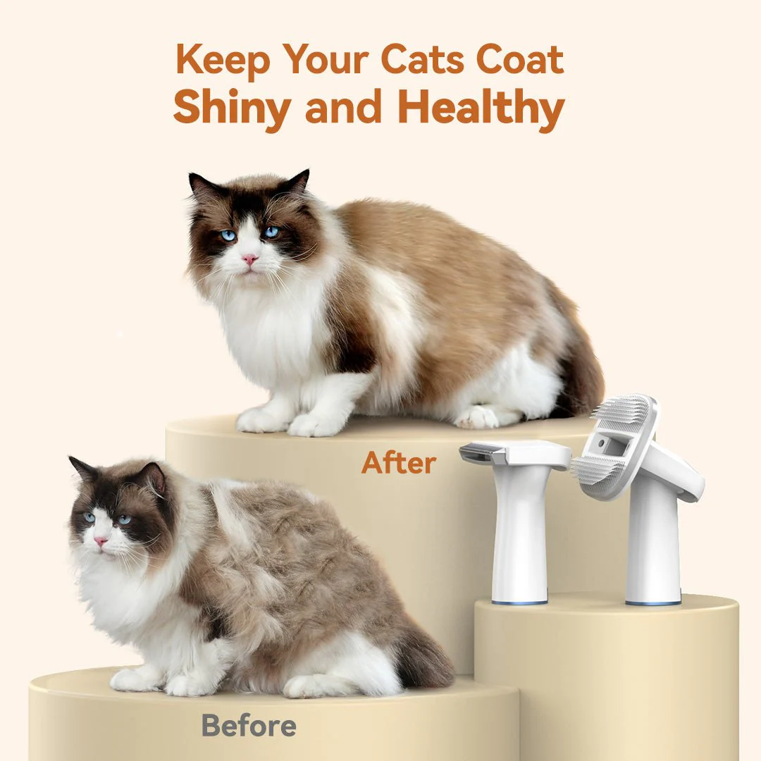 Oneisall LM5C 6-in-1 Cat Grooming Vacuum Kit - Image 6