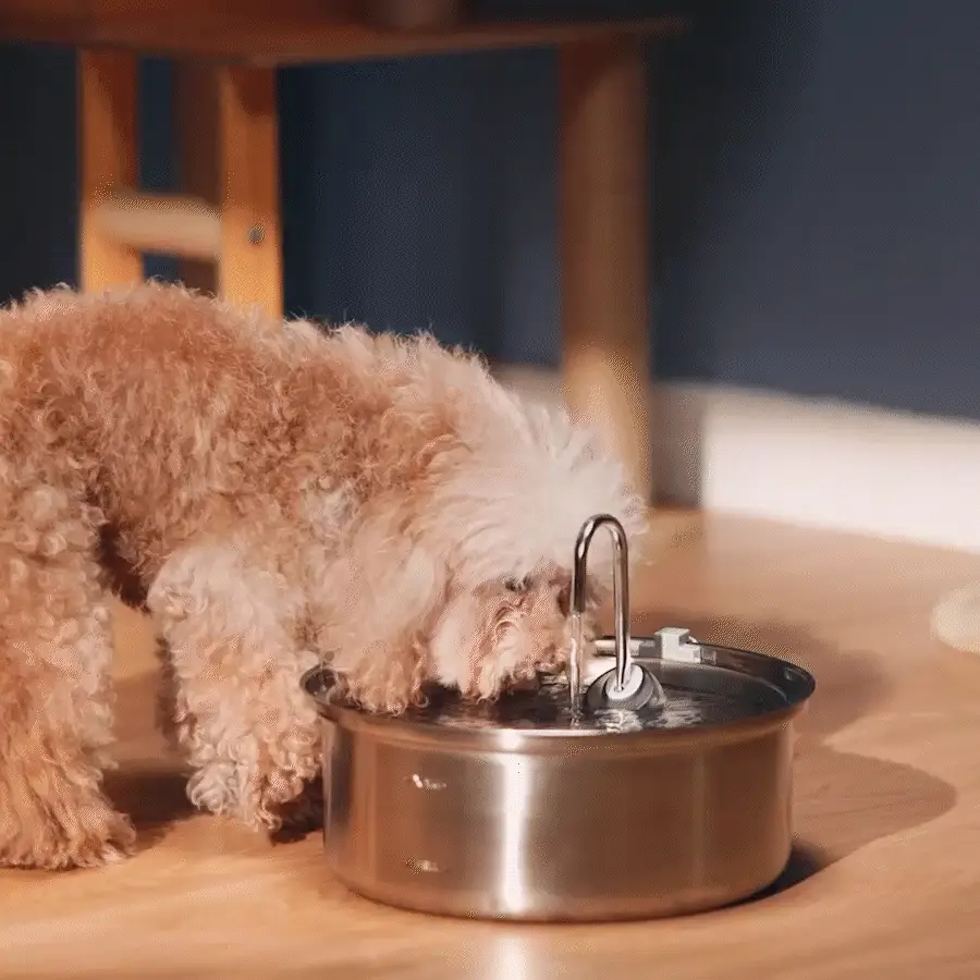 Oneisall 7L Pet Water Fountain with 1.5m Power Cord - Image 3