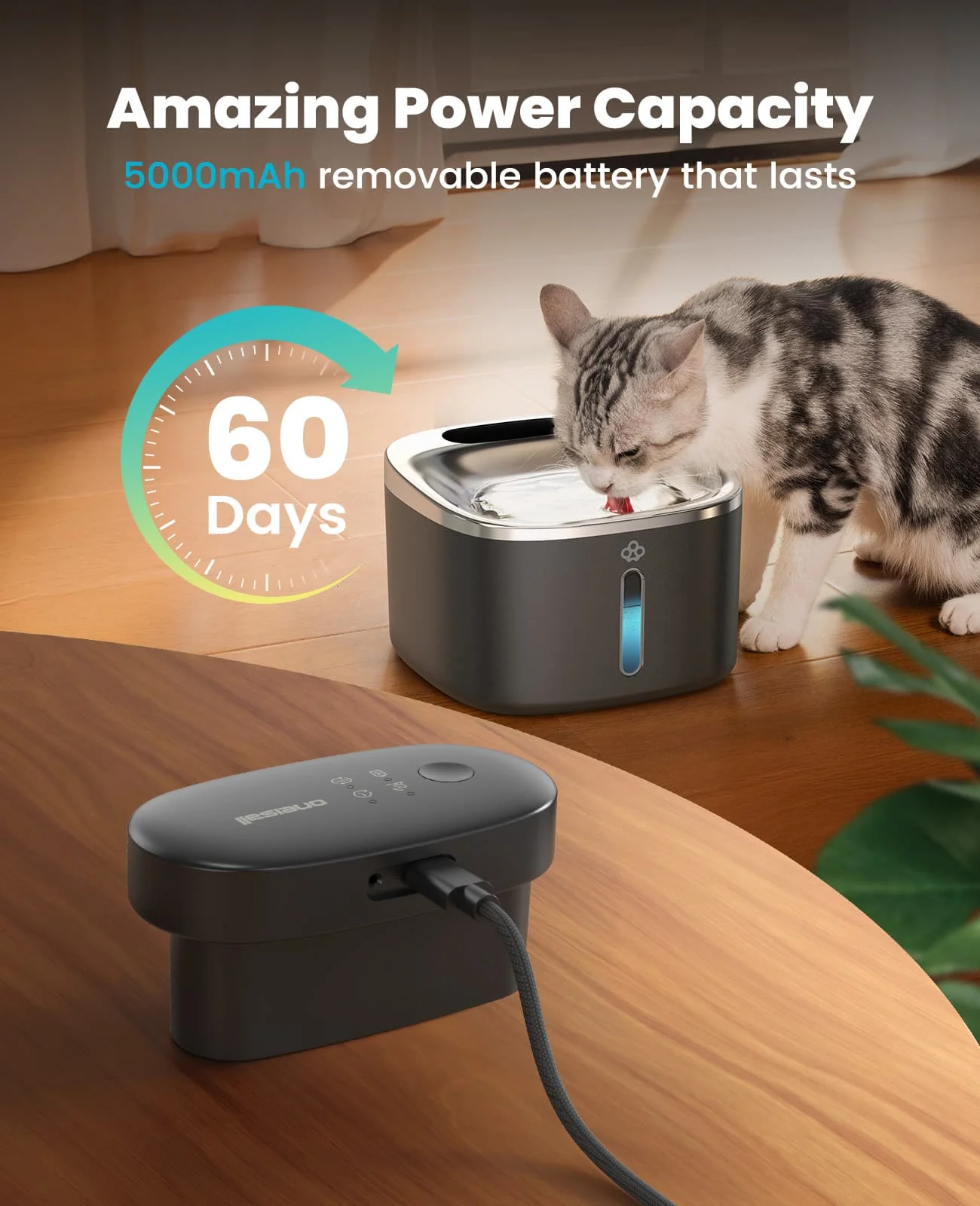 Oneisall 3.5L Cordless Stainless Steel Pet Water Fountain with 3PCS Filters - Image 15