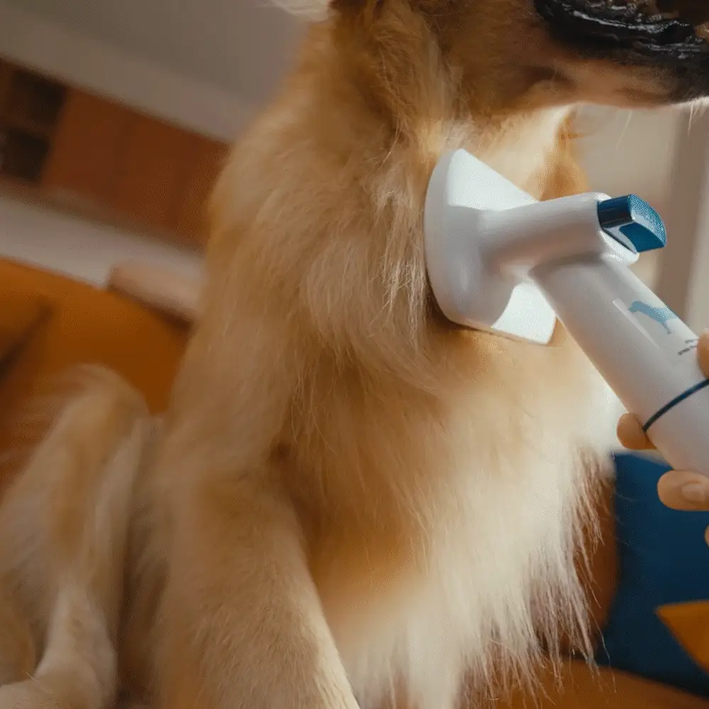 Oneisall Hair & Odor Control Set for Homes with Pets - Image 42