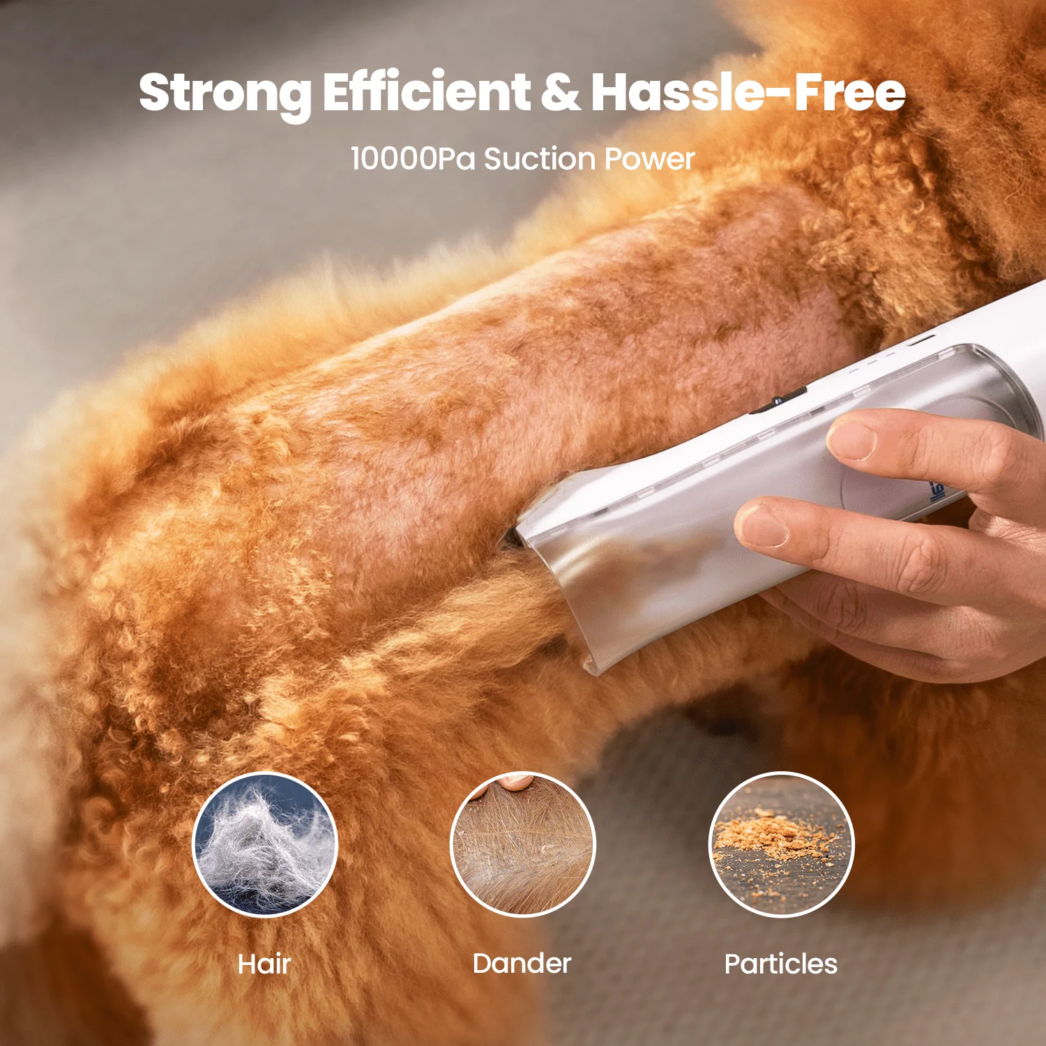 Oneisall Comfy C1 Cordless Pet Grooming Vacuum Kit - Image 17
