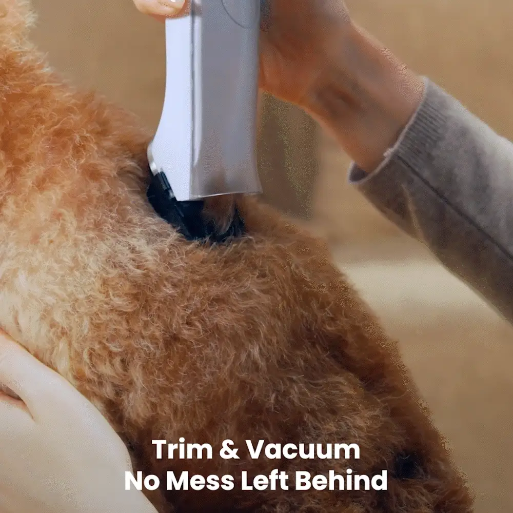 Oneisall Cozy C1/BM1 Pet Grooming Vacuum & Dryer Main Clipper + USB Charger Replacement - Image 2