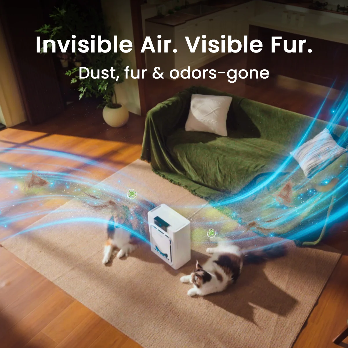 Oneisall Cozy SE2 6-in-1 Dog Grooming Vacuum Kit - Image 14