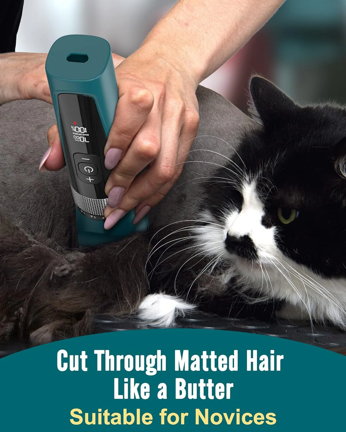 Oneisall YP-7268 Cat Clipper 5 Speeds - Image 5